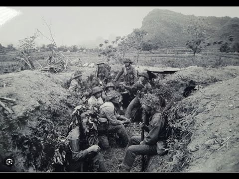 The Silent Trick That Made NVA Ambushes Useless